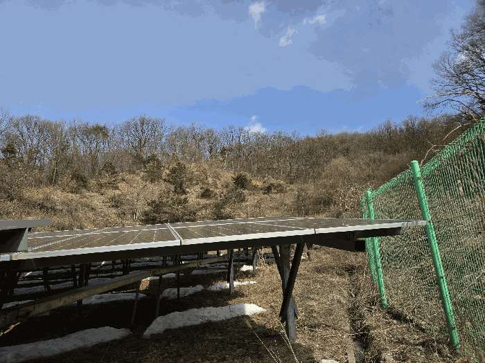 멀리 있는 임야가 기호1 임야