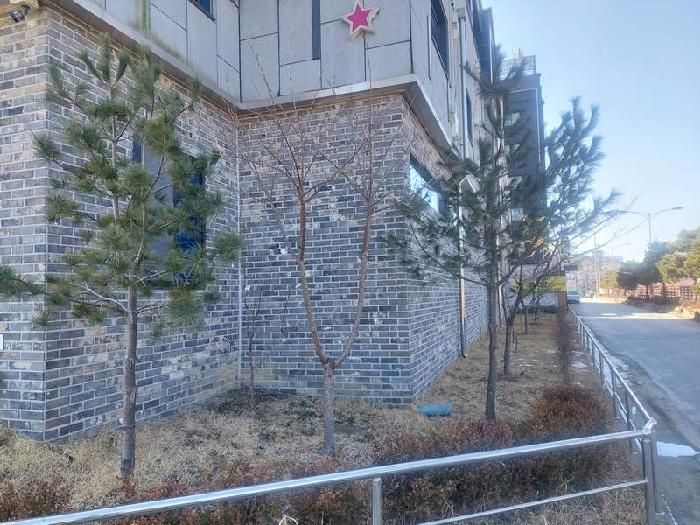 이건 부동산 측면 사진 - 건물 둘레에 조경수가 식재되어 있음