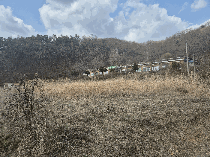 본건 기호(1,2) 토지 전경