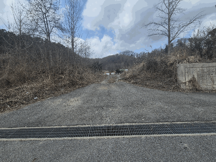 본건 기호(4) 토지 전경