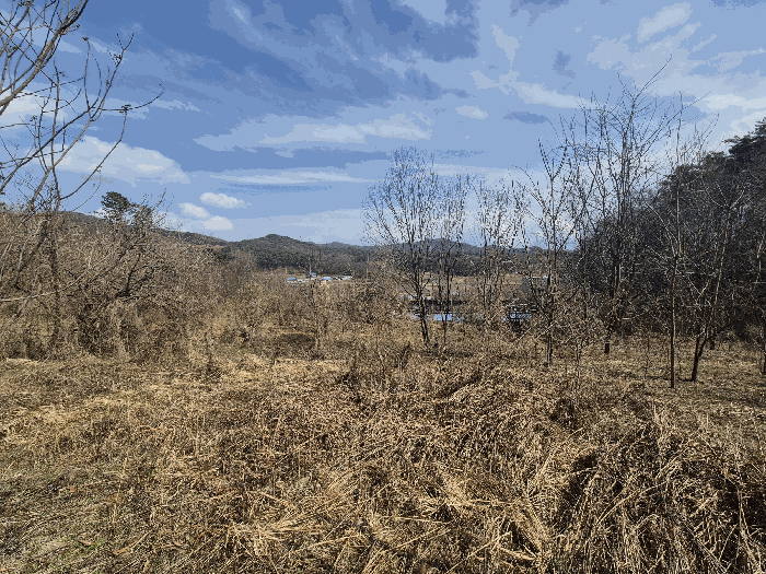 본건 기호(1,2) 토지 전경