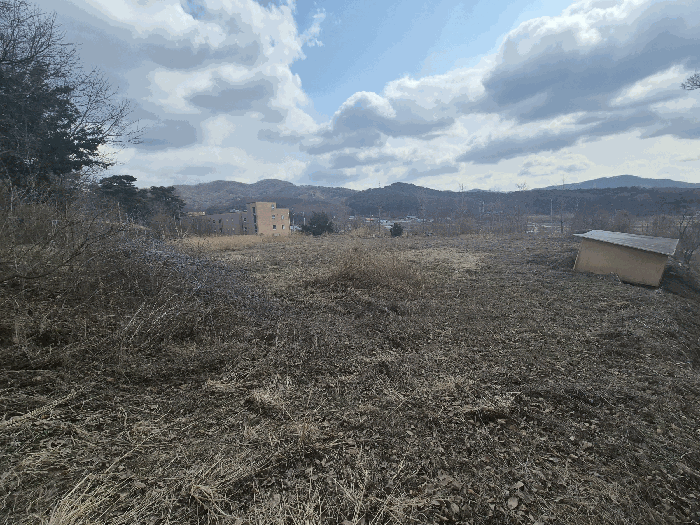 본건 기호(1,2) 토지 전경