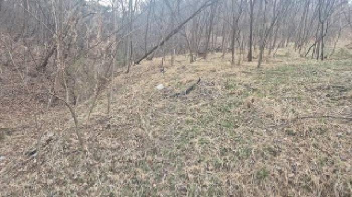 부동산목록 2번