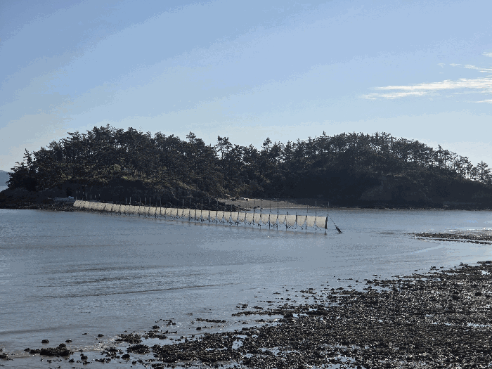 본건 (3) 전경