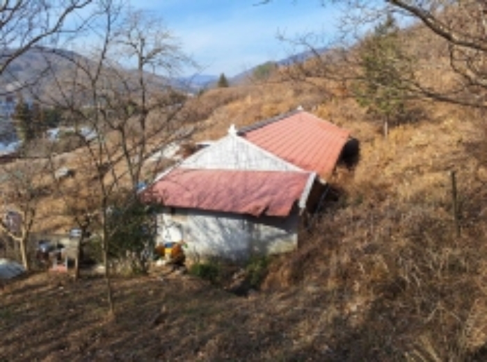 본건1, 지상에 제시외 주택