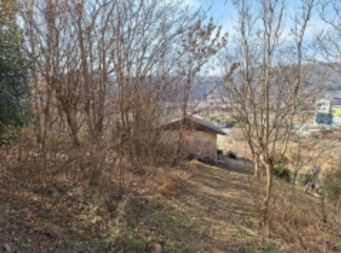 본건1, 지상에 제시외 창고