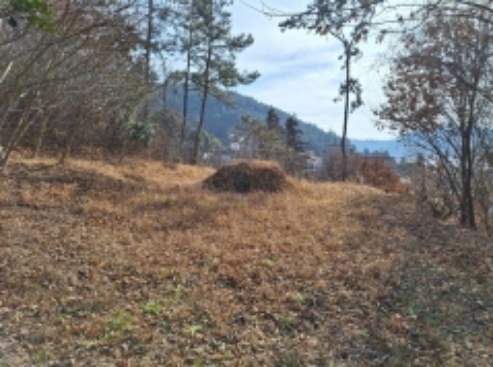 본건1, 분묘2기가 소재함