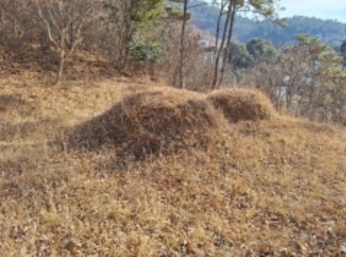 본건1, 분묘2기가 소재함