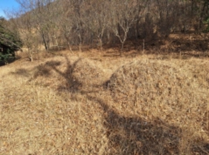 본건1, 분묘2기가 소재함