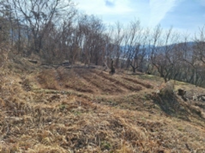 본건1, 일부는 전으로 사용함