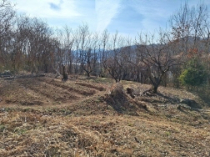 본건1, 일부는 전으로 사용함