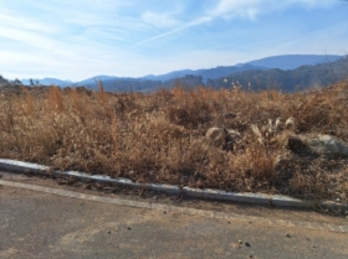 본건1 일부는 택지조성 공사가 되어있음