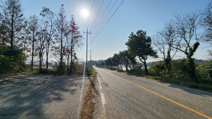 본건 접면도로 및 주위환경