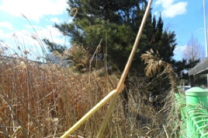 부동산표시 제1호