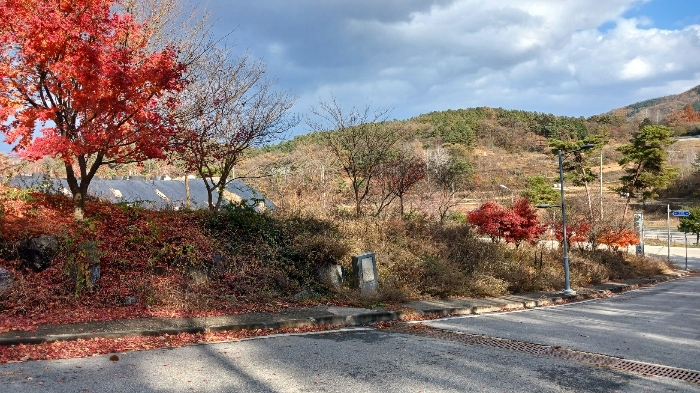 기호(5) 토지전경