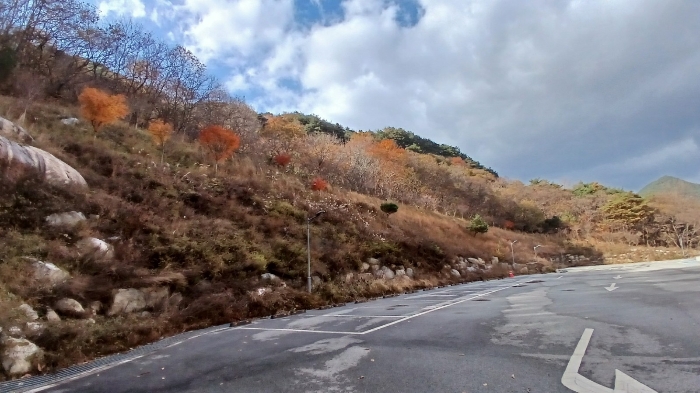 기호(4) 토지전경