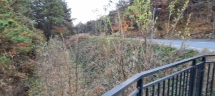 순창 인계 갑동 산8-1 경매물건 4번(현.임야) 사진