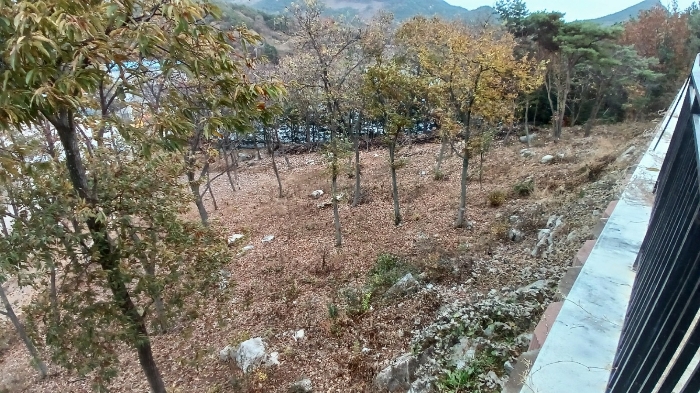 기호(4) 토지전경