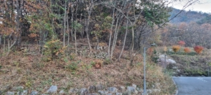 순창 인계 갑동 산8-1 경매물건 4번(현.임야) 사진