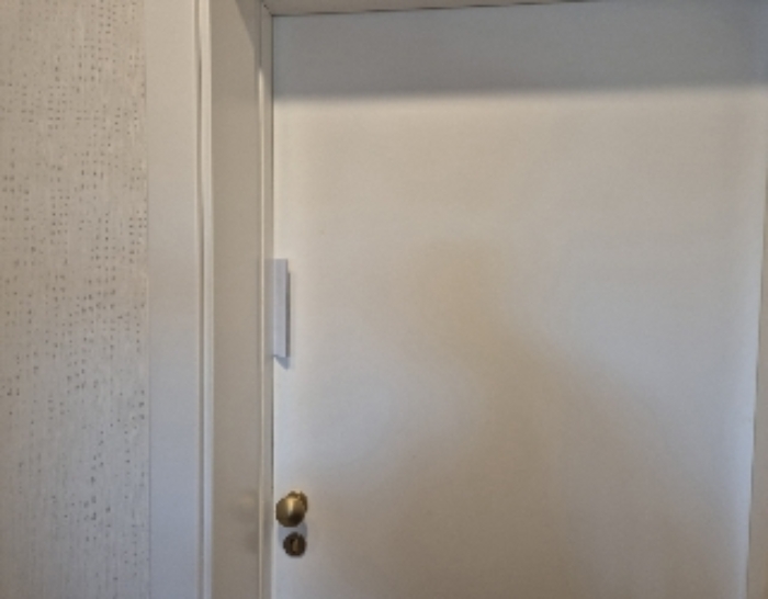 세대현관문(4층