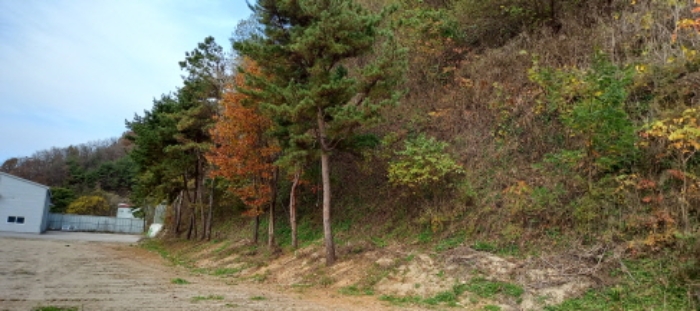 목록 10. 토지(임야) 전경