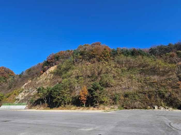 일련번호(7,10) 토지