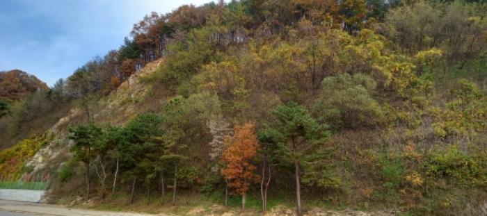 목록 7. 토지(임야) 전경