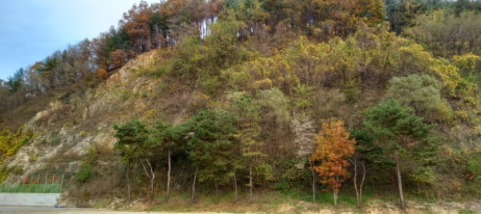 목록 7. 토지(임야) 전경