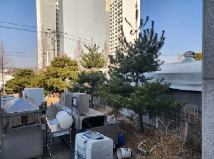 본건에 소재하는 조경수