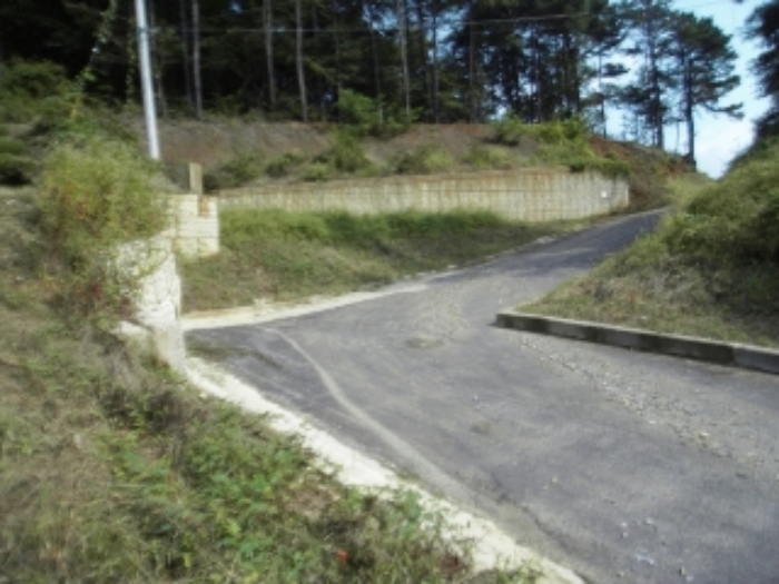 기호 3. 상단 도로 및 일부 임야