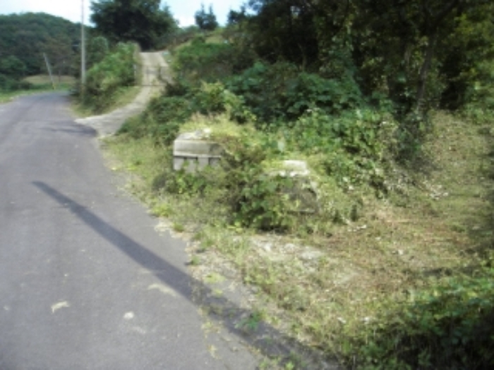 기호 4. 임야 및 일부 통행로