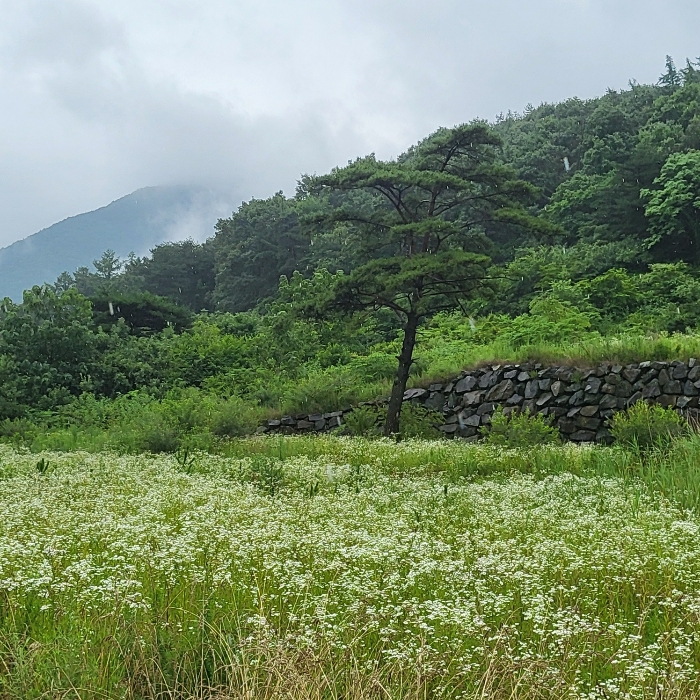 본건 남측 계획관리지역부분 전경