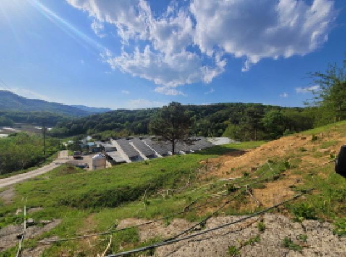 경북 성주군 용