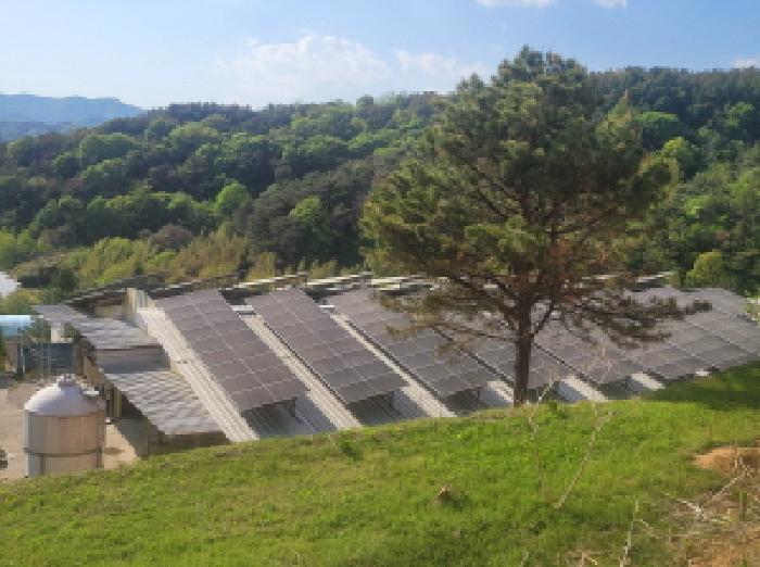 경북 성주군 용