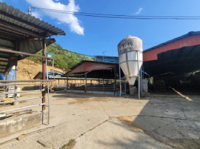 경북 성주군 용