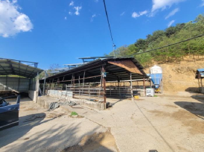 경북 성주군 용