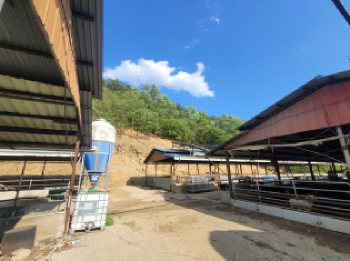 경북 성주군 용