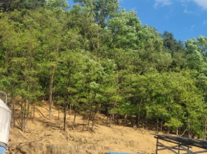 경북 성주군 용