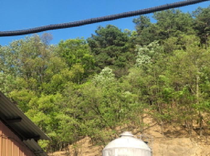 경북 성주군 용