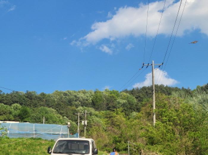 경북 성주군 용