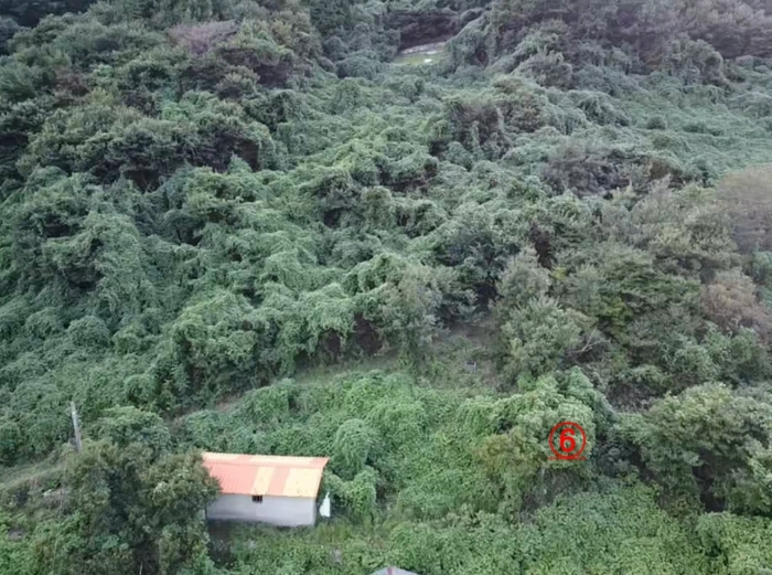 9.본건6전경(북동측상공)