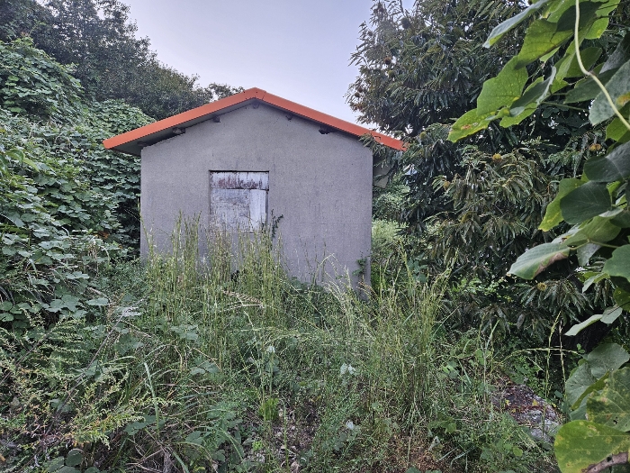 16.제시외건물 ㉢