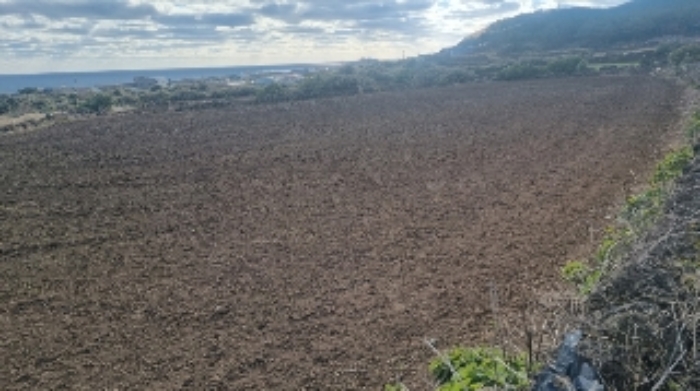 소재지1(연평리 174) 전경1