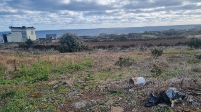 소재지1(연평리 174) 전경2