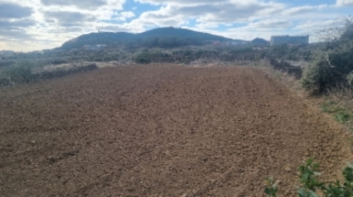 소재지1(연평리 174) 전경3