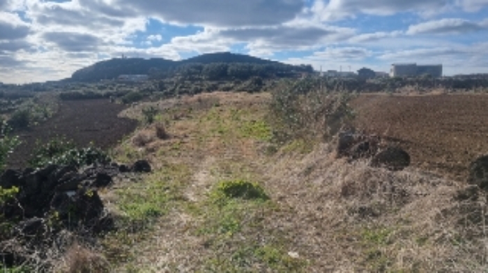 소재지1(연평리 174) 전경4