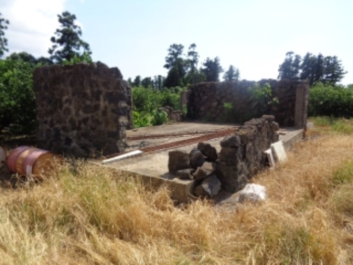 소재지1(낙천리 431-1)지상 제시외 건물(ㄱ) 사진