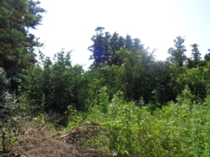 소재지2(낙천리 431-2) 전경 사진