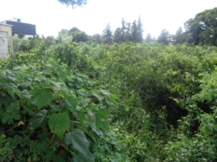 소재지4(낙천리 460-2) 전경 사진