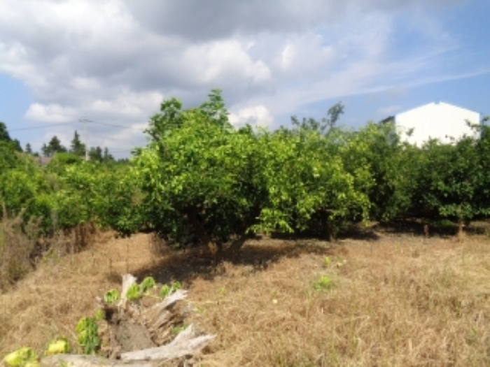 소재지5낙천리 454-3) 전경 사진